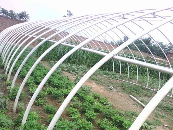 【厂家直销】蔬菜大棚湖南长沙温室大棚蔬菜大棚价格 