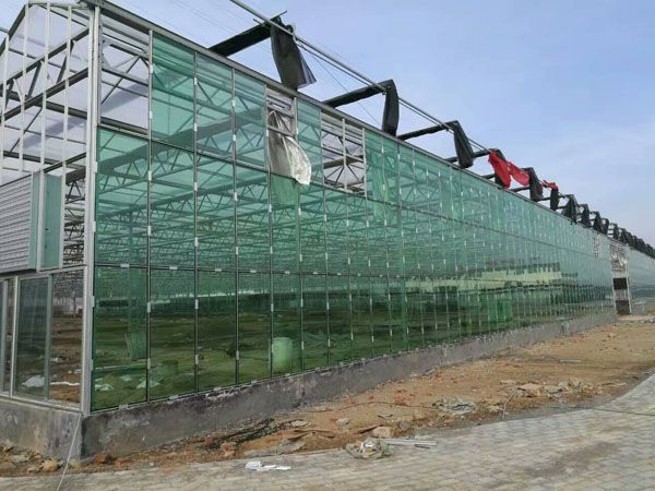 花卉温室大棚  多肉花卉温室大棚厂家供应 