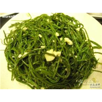 民勤县裕达农林牧产销专业合作社山野菜 