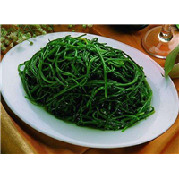 山野菜无公害蔬菜全国热销