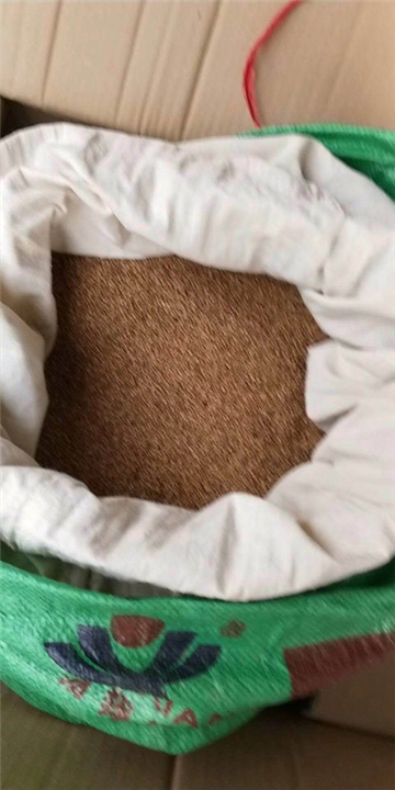 广西桑种供应商：横县桑种：供应