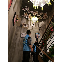 北海除甲醛