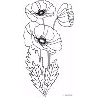 汕头美琪纹身罂粟花纹身作品3