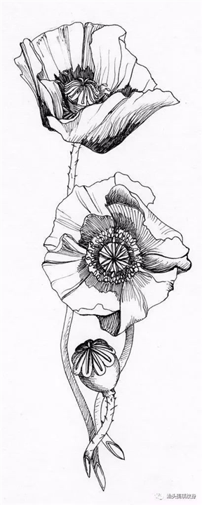 汕头美琪纹身罂粟花纹身作品26 