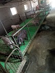 养殖场基地 
