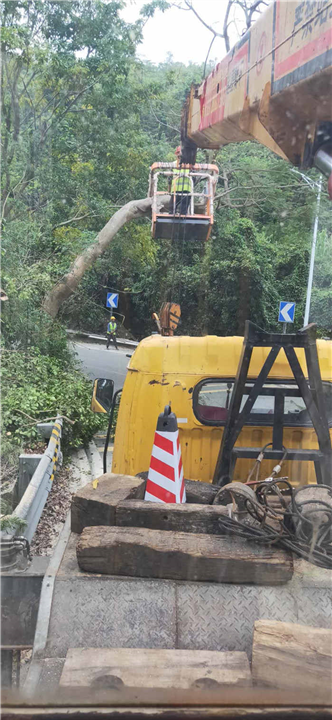 坪山路灯车出租&坪山路灯车租赁