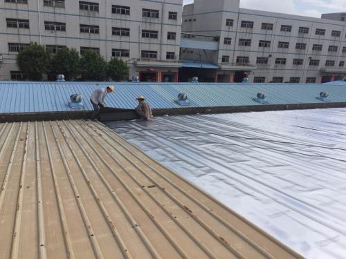 钢结构厂房防水多少钱