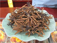 回收冬虫夏草公司