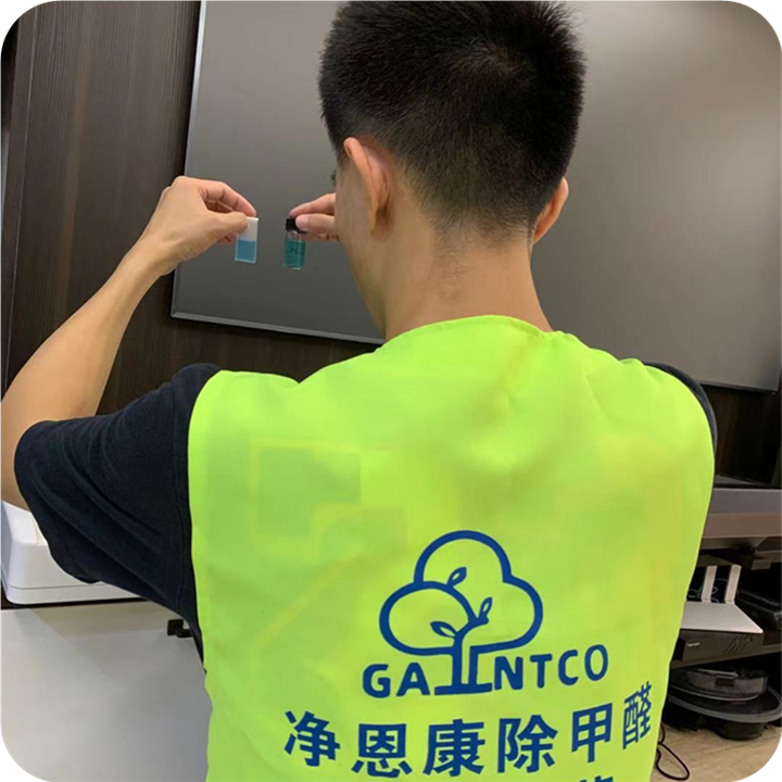 清除甲醛公司