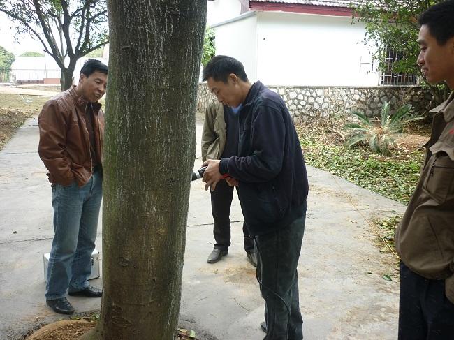 石门县灭白蚁