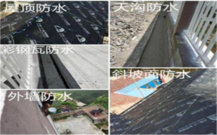 青羊区防水维修公司