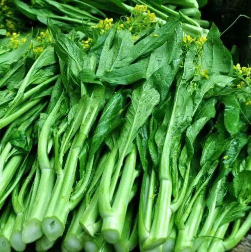 四九菜心 
