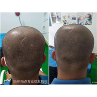 广西纹发-浅析纹发进化史 