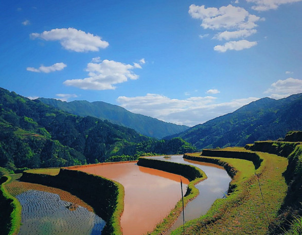 贵州旅游包车-加榜梯田