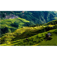贵州旅游包车-加榜梯田