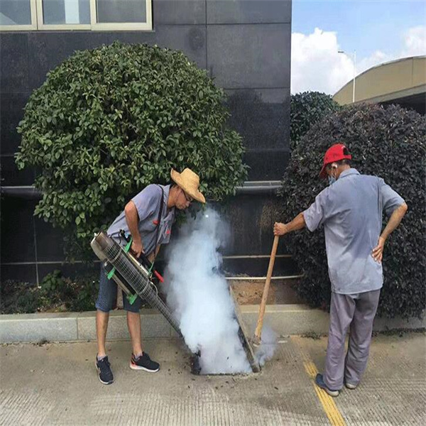 邵阳灭白蚁