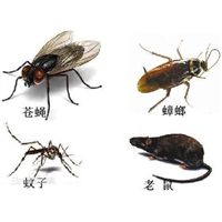 邵阳灭鼠要多少钱 