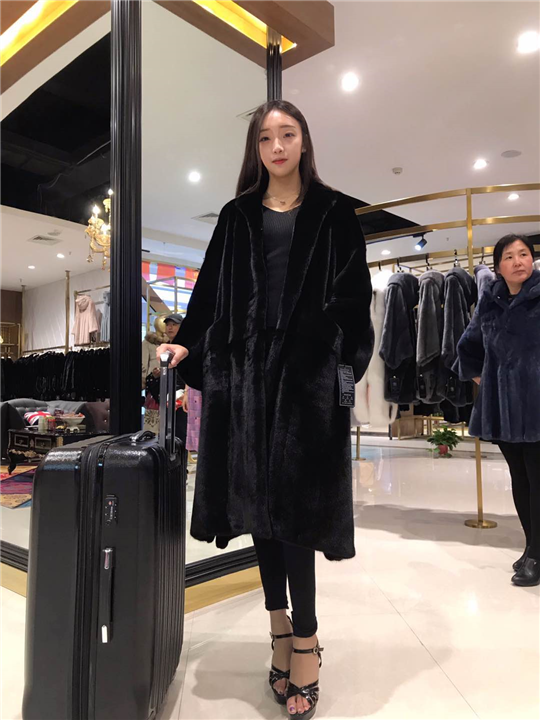 貂 