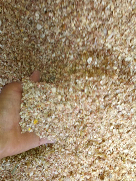 玉米 