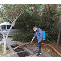 醴陵灭四害公司衣柜常见的虫子叫什么？