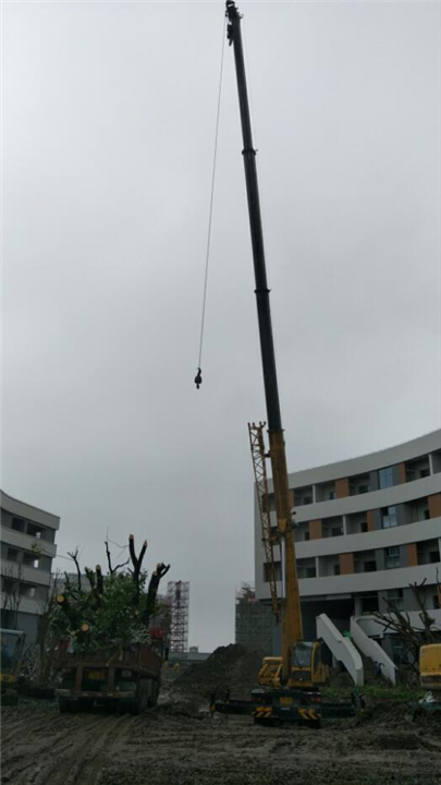 慈溪哪家吊车好 