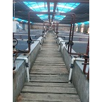 鼎历水产 