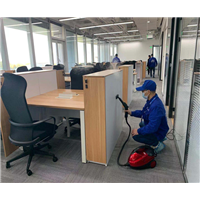 东莞专业除甲醛机构