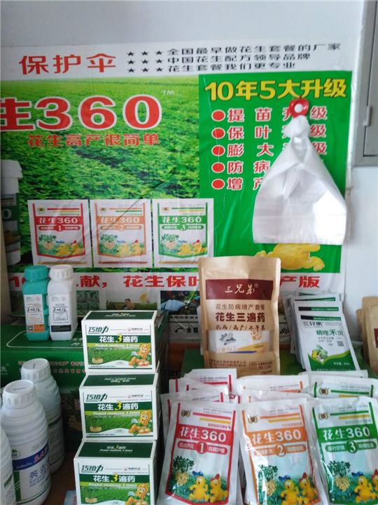 种子 