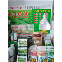 种子 