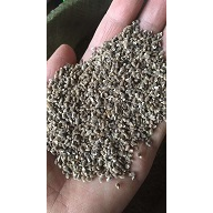 润利远志种植 
