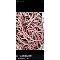 润利沙参