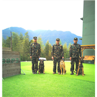 福州训犬基地