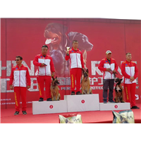 福州训犬俱乐部