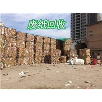 废纸回收 