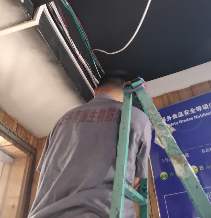 邢台灭鼠灭蟑螂
