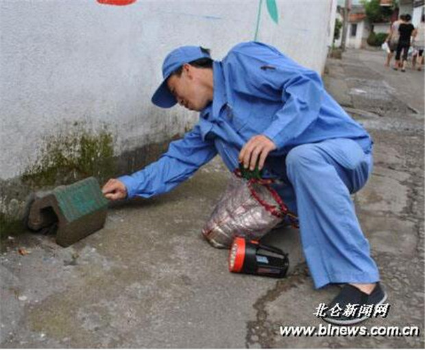 邢台灭鼠灭蟑螂