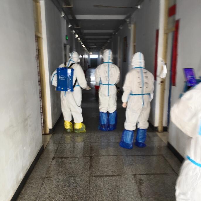 邢台灭鼠杀虫