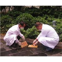 邢台灭鼠公司