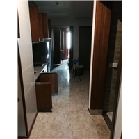 绍兴柯桥区除甲醛：绿植对于甲