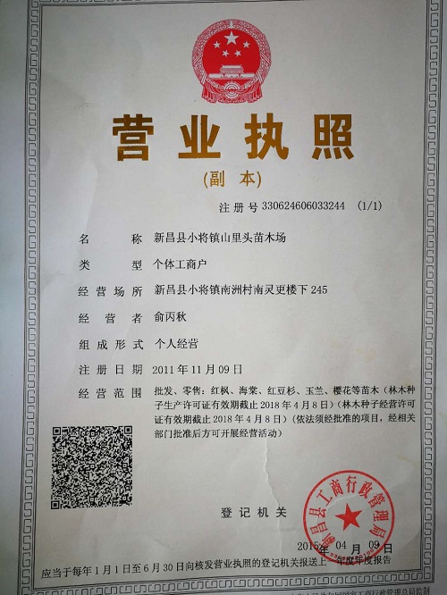【浙江樱花】樱花的花语与传说,樱花的寓意解析 
