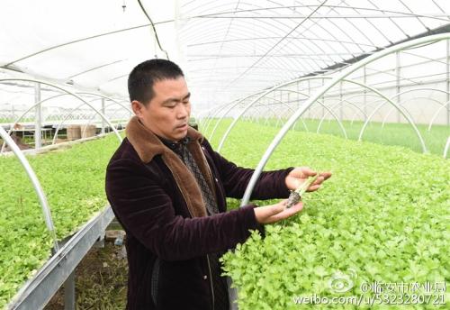 AI提供了热水溶解组份 