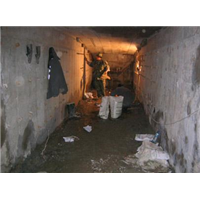 西昌本地防水堵漏