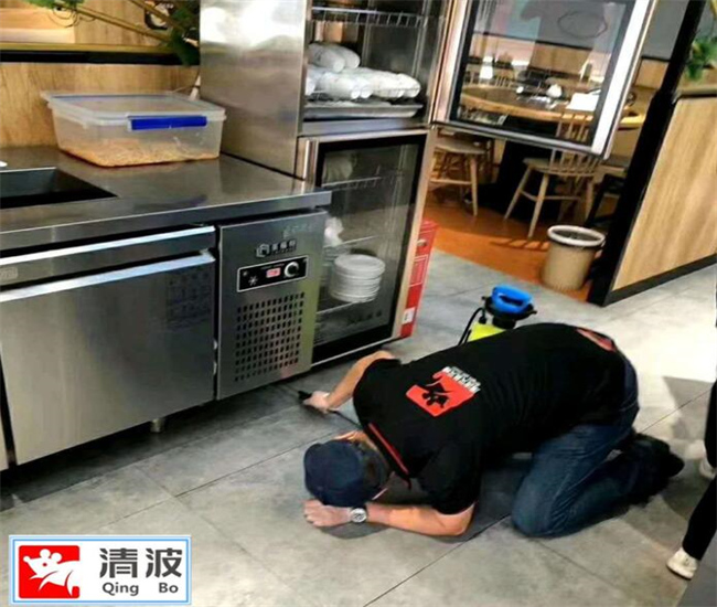 常州杀虫公司电话