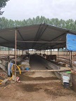 河北育牛养殖业 
