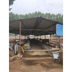 河北育牛养殖业