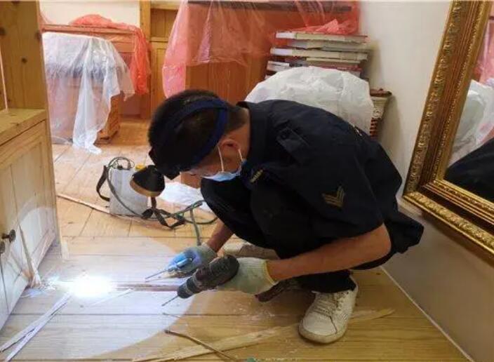 镇江除虫公司消灭蚊子幼虫