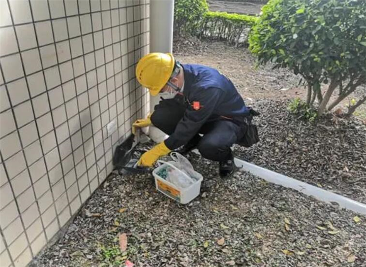 镇江杀虫灭鼠公司有害生物防治的必要性