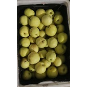 赵县鸭梨销售 