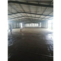 河北康兴肉鸡养殖 