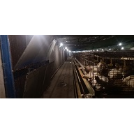 深州市鸿鹄肉鸡养殖 